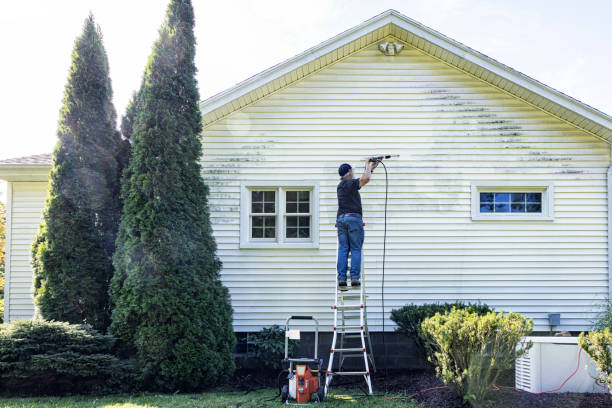 Trusted Farmington, MS Pressure Washing Experts